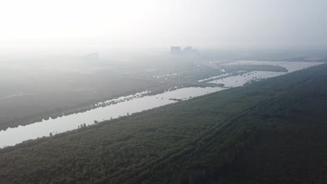 Misty-morning-at-mangrove-trees-and-development-of-Batu-Kawan,-Penang,-Malaysia.